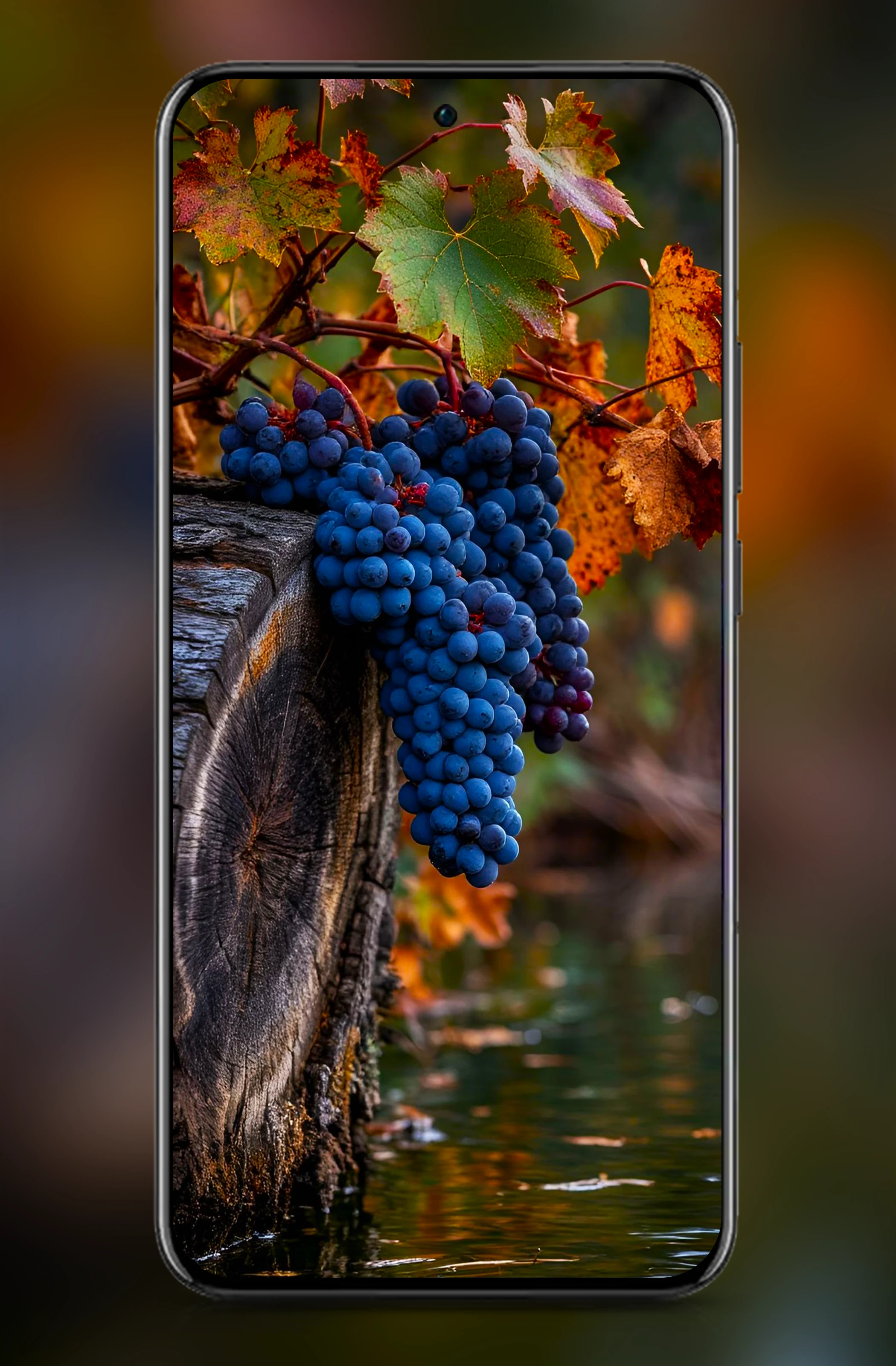 Oppo Reno 13 Pro Wallpaper screenshot